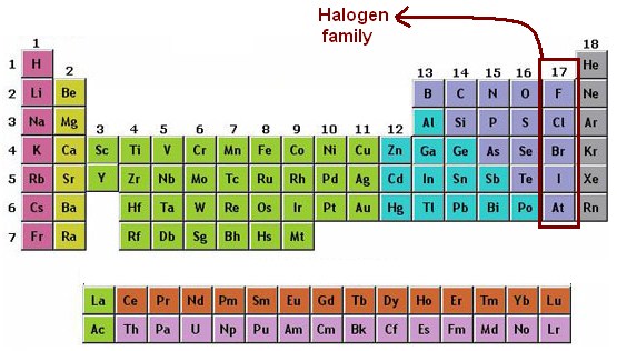 Periodic table depicting location of halogens