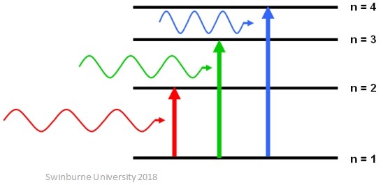 absorption of light examples