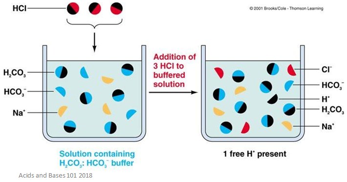 buffer science