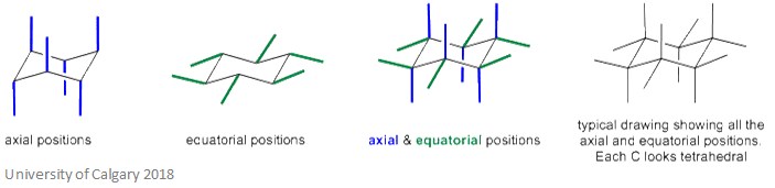 Cyclohexane Axial And Equatorial Positions