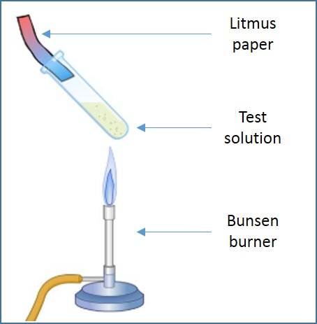 Detection of ammonia