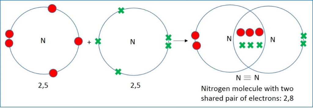 Nitrogen and Sulphur are two elements that constitute a major role in nature and human activities. Learn more about Nitrogen and Sulphur.