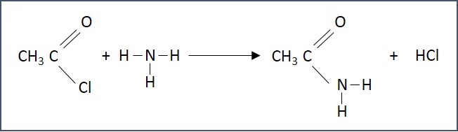 nitrogen containing compounds a level biology essay